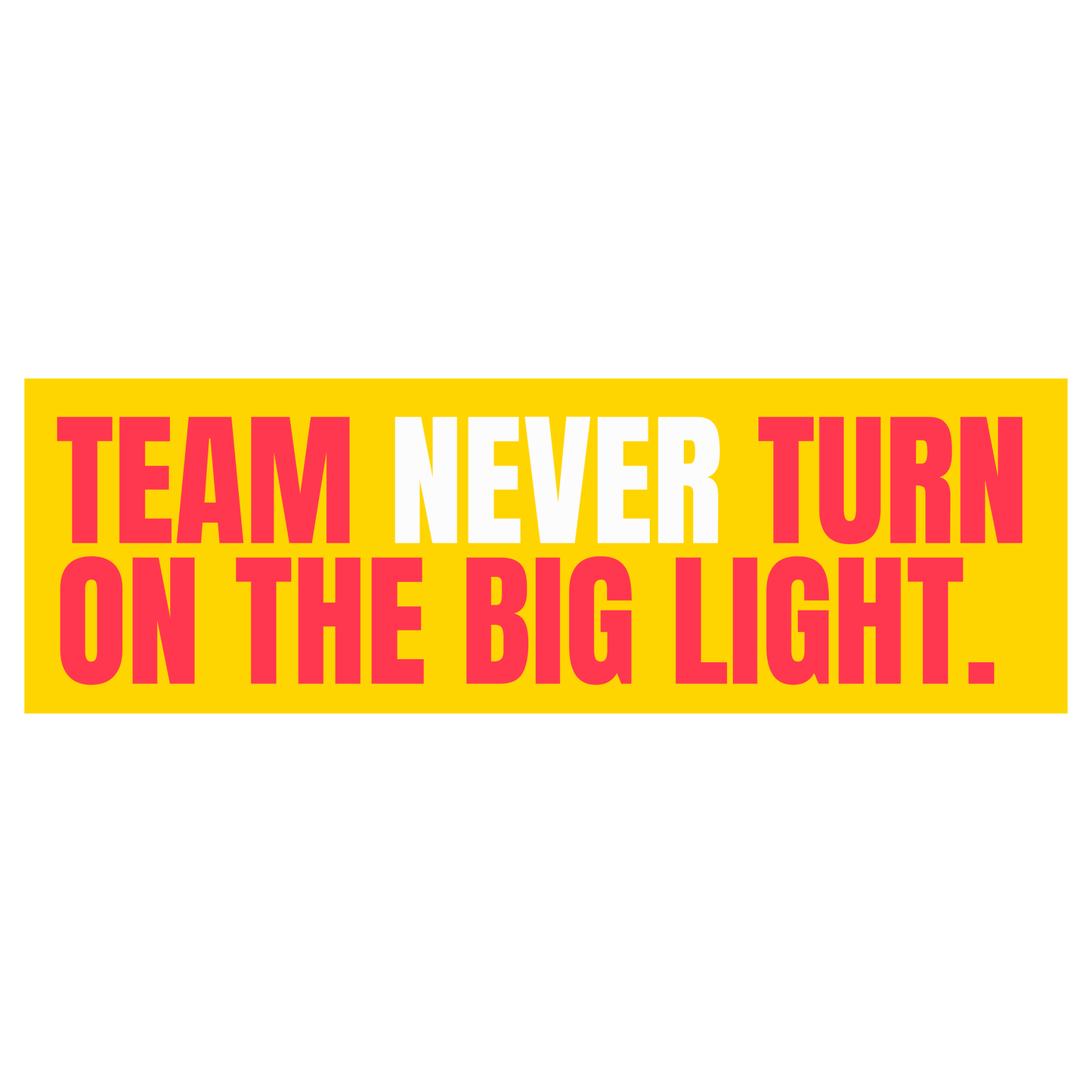 Funny Vinyl Sticker Team Never Turn On the Big Light Sticker image 2