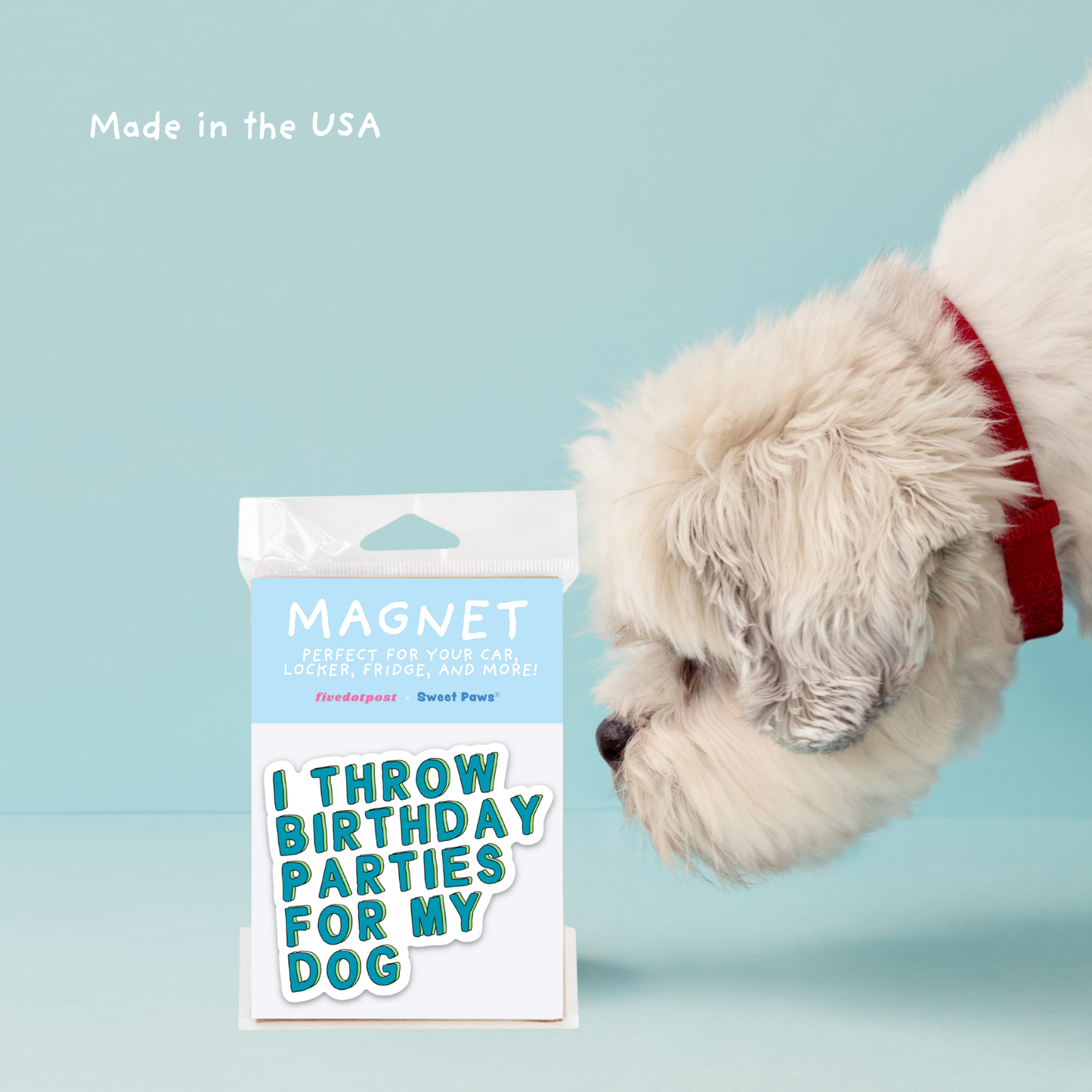 I Throw Birthday Parties for My Dog – Pet Parent Car Magnet