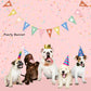 Sweet Paws x Five Dot Post "Pawty Animal" DOG Pawty Pack 18 pc set