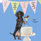 Sweet Paws x Five Dot Post "Weenies and Tinis" Pawty Pack 18 pc set