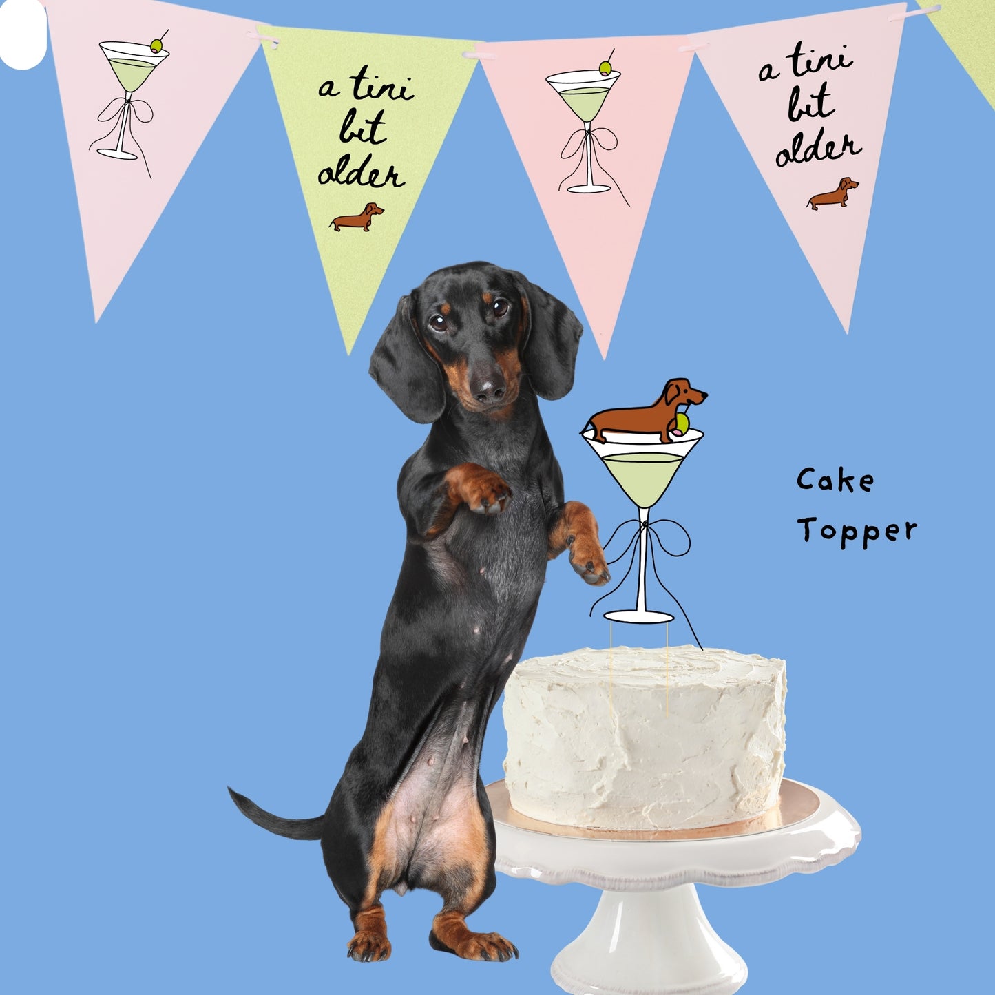 Sweet Paws x Five Dot Post "Weenies and Tinis" Pawty Pack 18 pc set