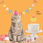 Sweet Paws x Five Dot Post "Pawty Animal" CAT Pawty Pack 18 pc set