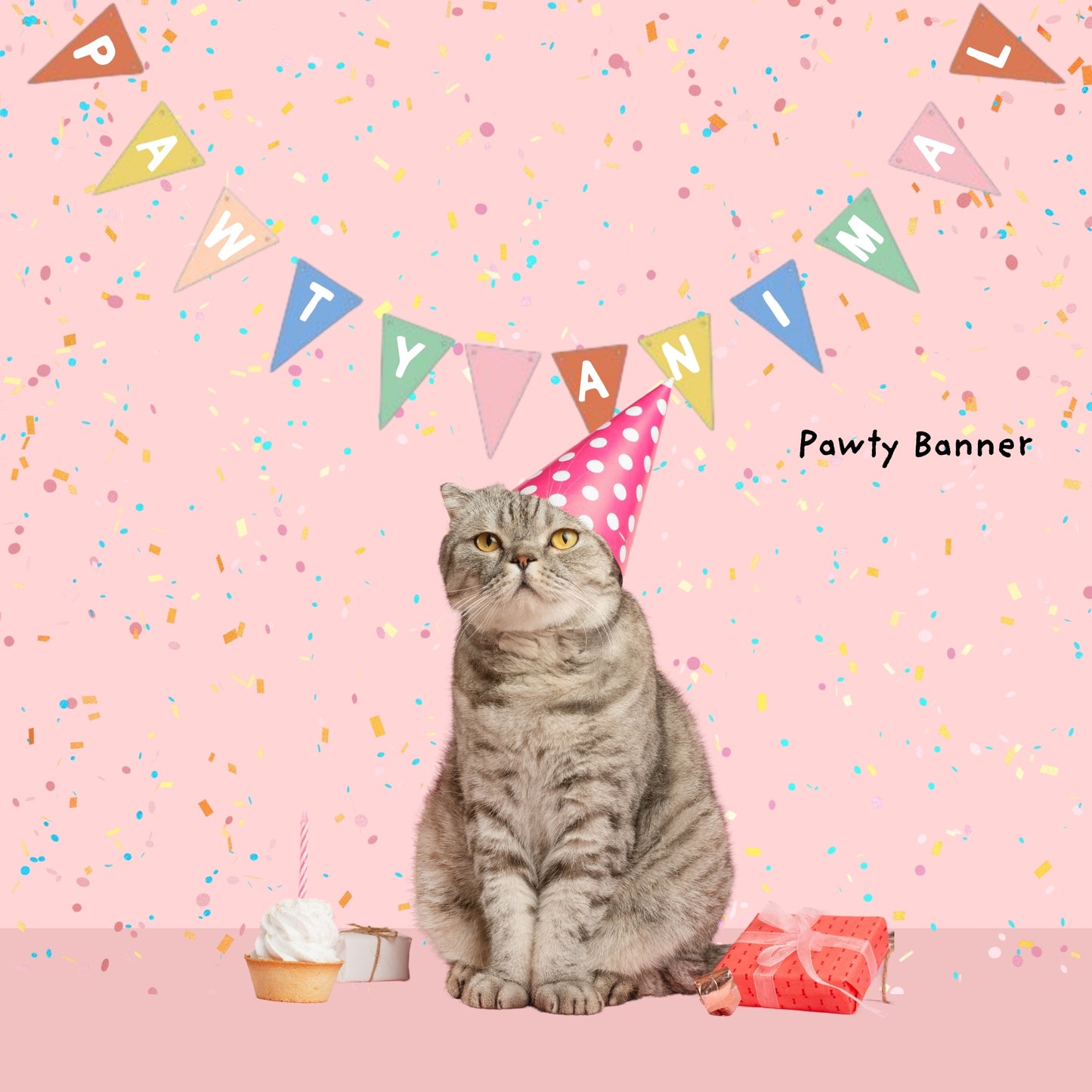 Sweet Paws x Five Dot Post "Pawty Animal" CAT Pawty Pack 18 pc set