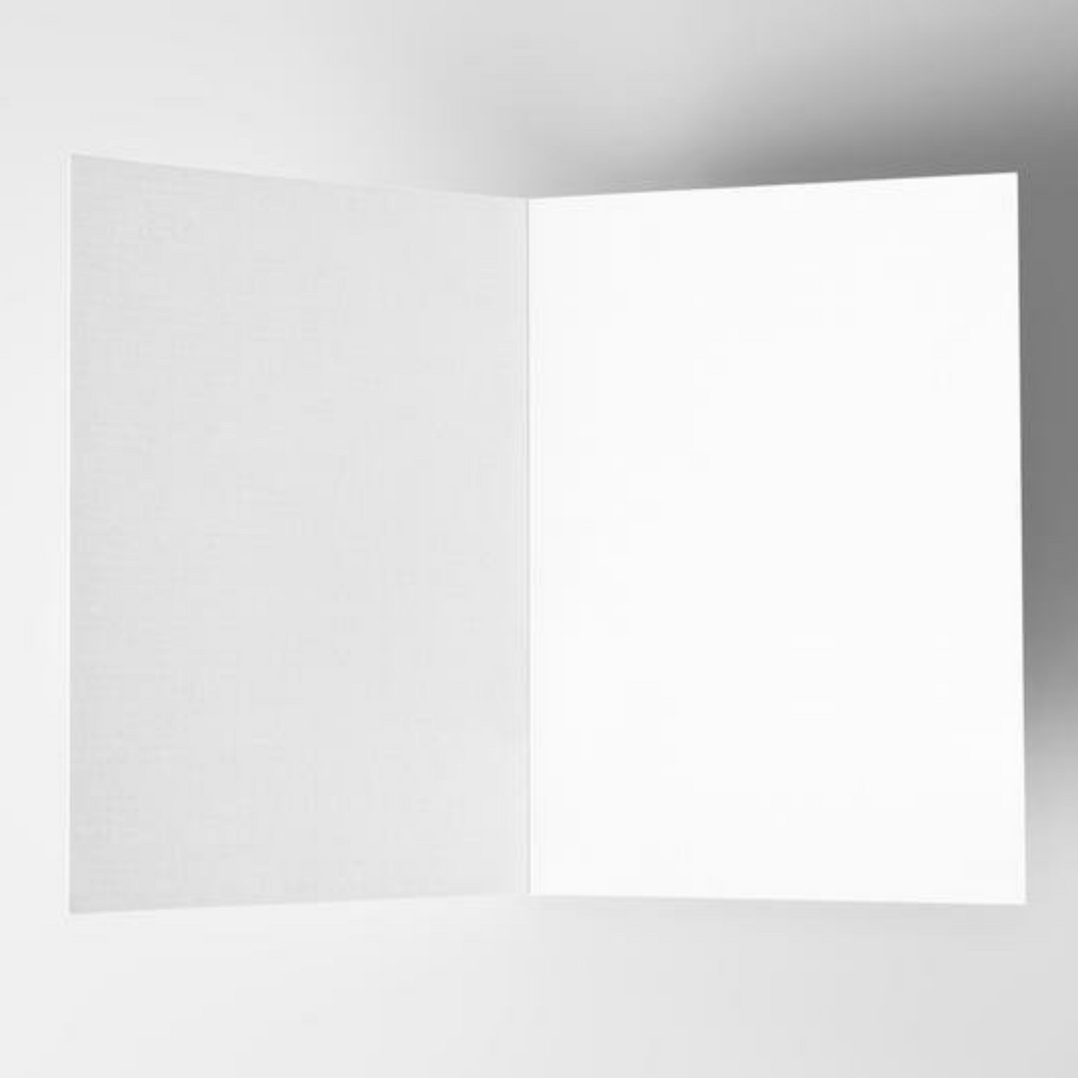 Funny Birthday Card for Friend Medium Deal